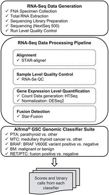 Analytical Verification Performance of Afirma Genomic Sequencing Classifier in the Diagnosis of Cytologically Indeterminate Thyroid Nodules